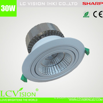 LED Lighting / 30W SHARP LED LAMP CUP / Adjustable / Dimming